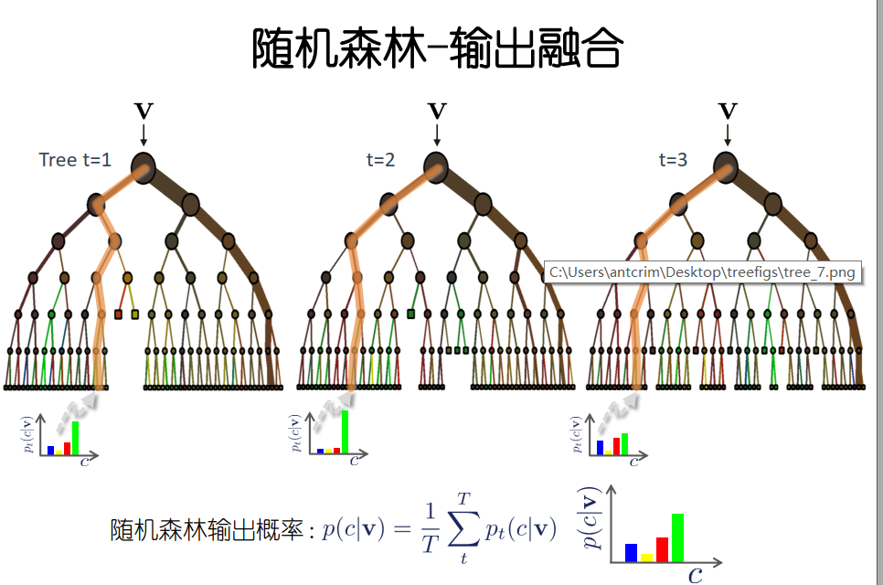 随机森林-输出融合